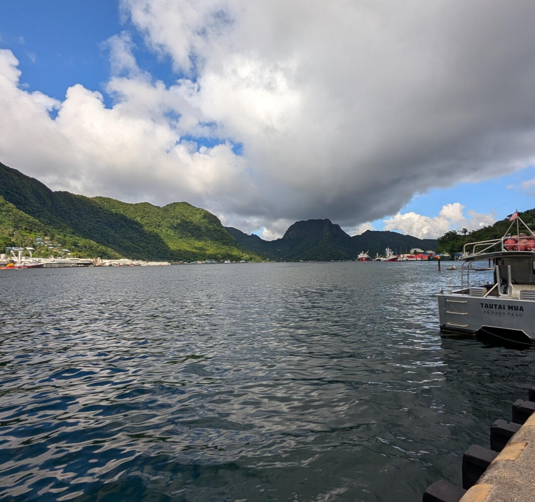Three scales of fisheries: longline, purse seine, and alia vessels in Pago Pago harbor, American Samoa. Photo by Kirsten Leong, 2025.